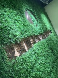 -变美丽半永久纹眉连锁·机器野生眉•洗眉