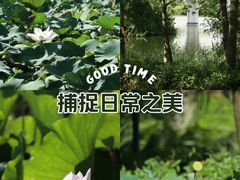 -厦门园林博览苑