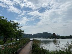 -顺峰山公园