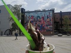 -Salud撒露欧洲冻酸奶(798艺术区店)