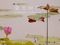 -南翔镇银翔湖公园