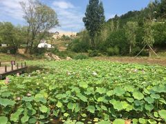 -白鹿原影视城