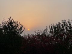 -北京西山国家森林公园