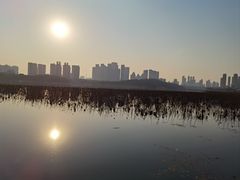 -月湖风景区