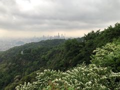 -广州市白云山风景名胜区