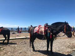 -青海湖国家重点风景名胜区