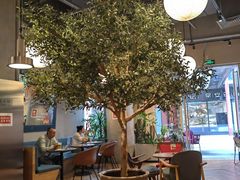 -Wagas沃歌斯(正大乐城店)