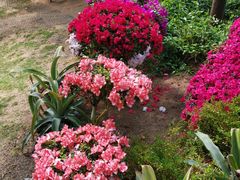 -南通洲际绿博园