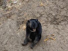 -哈尔滨北方森林动物园