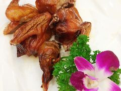 红烧乳鸽-顺德人家食府(黄金广场店)