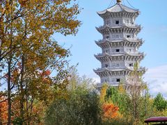 -嘉荫恐龙国家地质公园