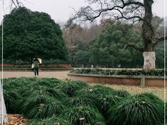 -灵谷景区