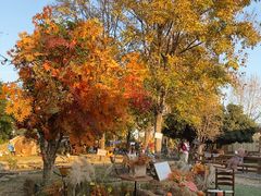 -HERRE·FARM 赫尔露营农场·团建聚会包场