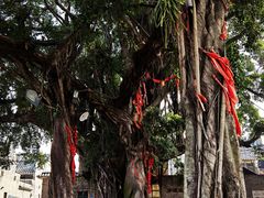 -烟桥私房菜馆(奋哥)