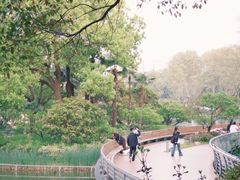 -红梅公园