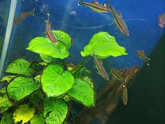 -沙沙哗啦海洋馆(华宇百花谷店)