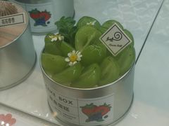 -花花卷卷·鲜食蛋糕(静安久光百货店)