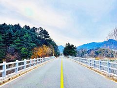 -百里山水画廊