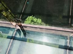 -雁荡山风景名胜区-小龙湫