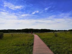 -塞罕坝国家级自然保护区