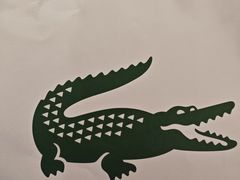 -LACOSTE(百联奥特莱斯广场店)