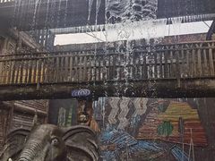 -呀路古热带植物园