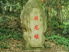 -上海佘山国家森林公园天马山园