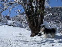 -太子岭滑雪场