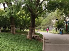 -丰台花园