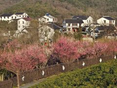 -石塘人家