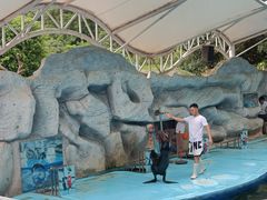 -泉州海丝野生动物世界