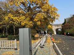 -宜兴龙背山森林公园