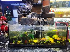 -鱼神·脆肉鲩 全鱼宴(西乡店)