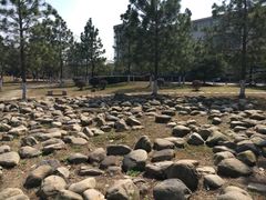 -江南大学(蠡湖校区)