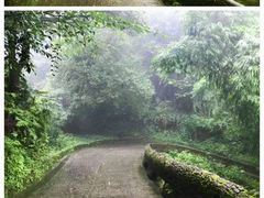 -老峨山风景区