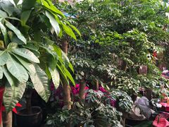-秦美花卉(天朗·莱茵小城2期店)