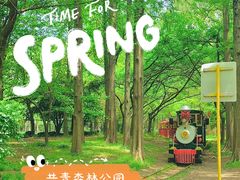 -上海共青森林公园