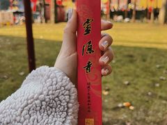 -灵隐飞来峰景区