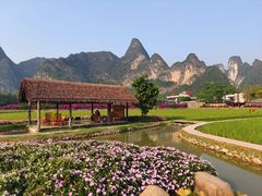 -靖西鹅泉风景区