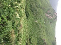 iphone_upload_pic-空中草原