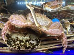 -蟹道乐(道顿堀本店)