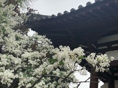 -西安青龙寺遗址景区