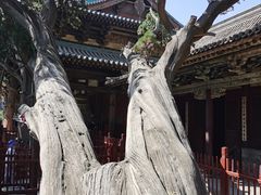 -晋祠公园