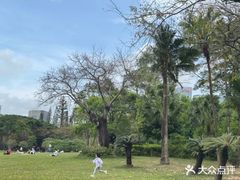 -荔香公园