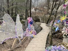 -秦岭终南山世界地质公园翠华山景区