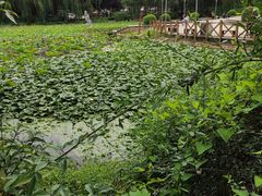 -三圣花乡旅游区