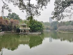 -晓港公园