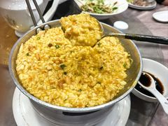 -丁老爷子苏香圆