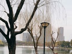 -大宁公园