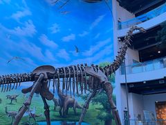 -辽宁古生物博物馆